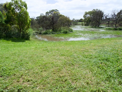 creek photo
